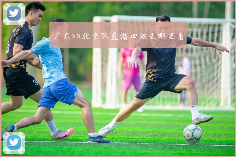 广东vs北京队直播回放去哪里看