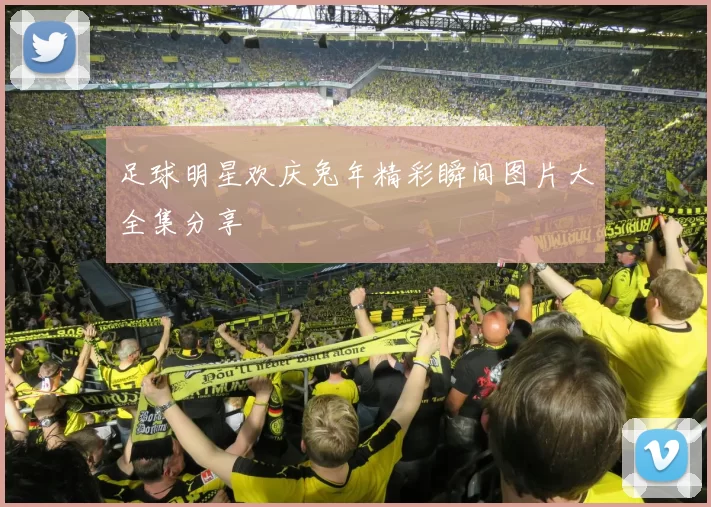 足球明星欢庆兔年精彩瞬间图片大全集分享