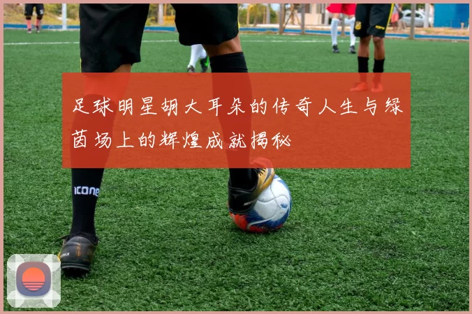 足球明星胡大耳朵的传奇人生与绿茵场上的辉煌成就揭秘