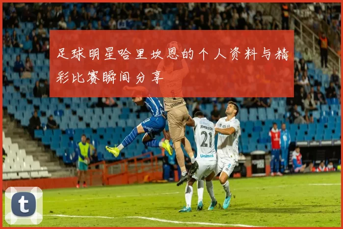 足球明星哈里坎恩的个人资料与精彩比赛瞬间分享