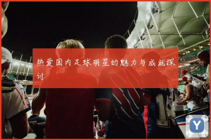 热爱国内足球明星的魅力与成就探讨