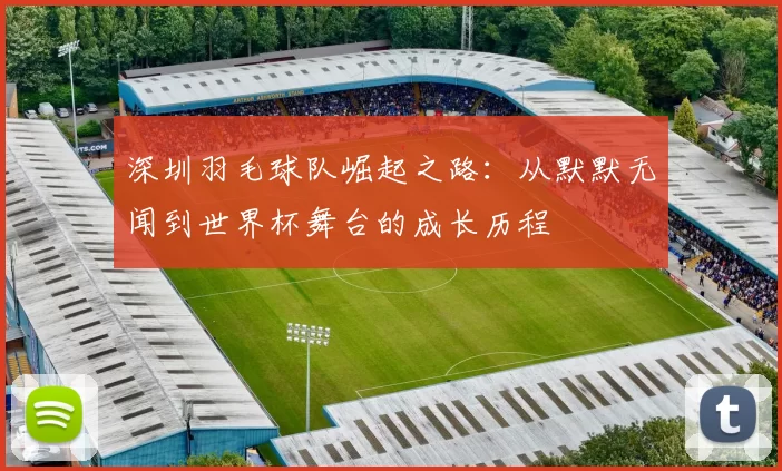 深圳羽毛球队崛起之路：从默默无闻到世界杯舞台的成长历程