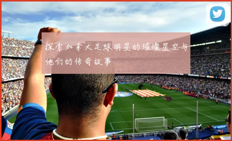 探索加拿大足球明星的璀璨星空与他们的传奇故事