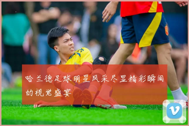 哈兰德足球明星风采尽显精彩瞬间的视觉盛宴