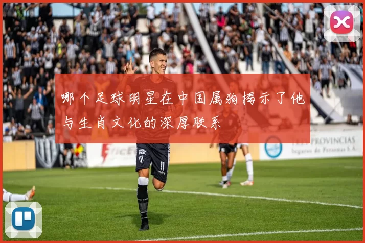 哪个足球明星在中国属狗揭示了他与生肖文化的深厚联系