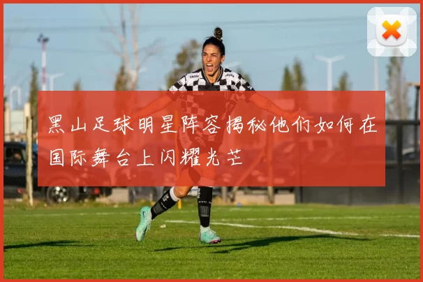 黑山足球明星阵容揭秘他们如何在国际舞台上闪耀光芒