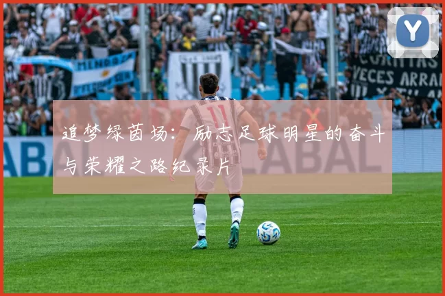 追梦绿茵场：励志足球明星的奋斗与荣耀之路纪录片