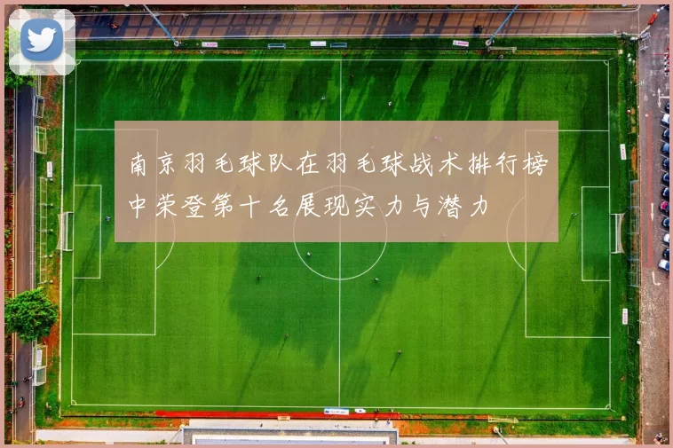 南京羽毛球队在羽毛球战术排行榜中荣登第十名展现实力与潜力