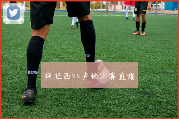 斯旺西vs卢顿比赛直播