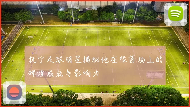 抚宁足球明星揭秘他在绿茵场上的辉煌成就与影响力