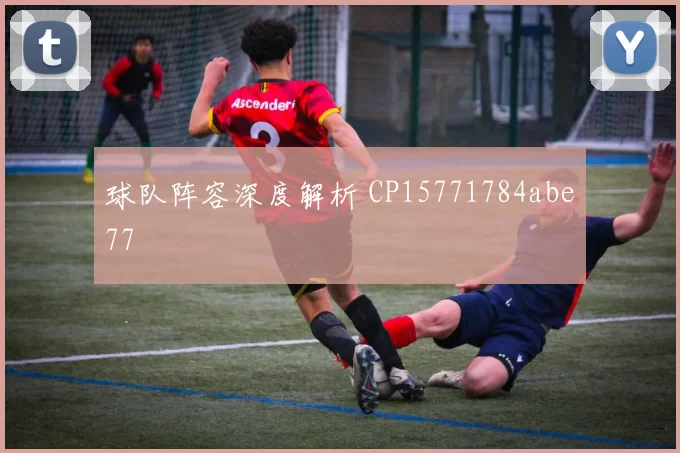 球队阵容深度解析 CP15771784abe77
