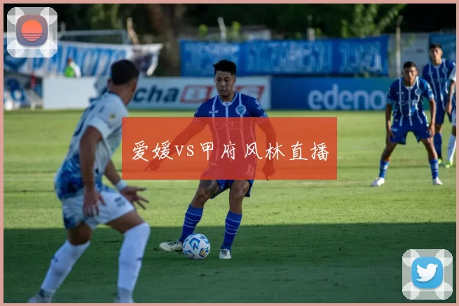 爱媛vs甲府风林直播